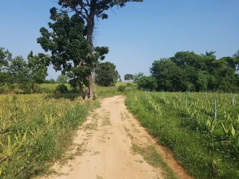 ขายที่ดินหัวหิน ตำบลทับใต้ อำเภอหัวหิน จังหวัดประจวบคีรีขันธ์