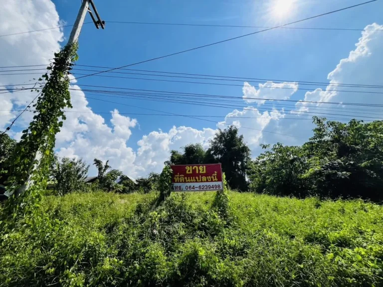 ที่ดินเปล่า ใกล้แยกน้ำบ่อหลวง ถเลี่ยงเมืองสันป่าตอง-หางดง