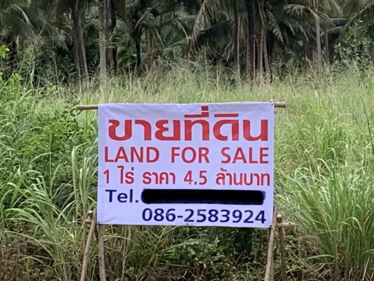 ขายที่ดินเปล่า 1 ไร่ LAND FOR SALE เจ้าของขายเอง