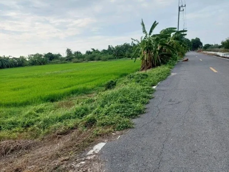 ขายด่วนที่ดินสวย 400 ตรวา คลองหลวง คลองห้า ปทุมธานี ZT242