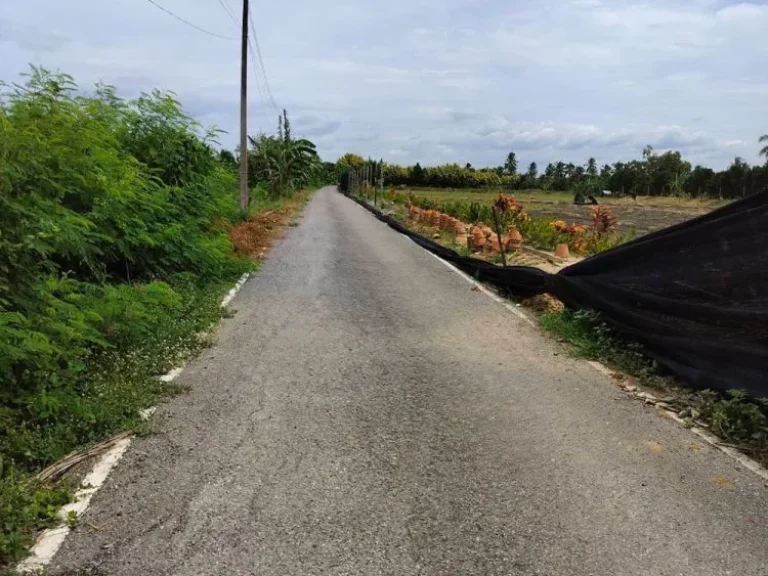 ขายที่ดิน 20 ไร่ ติดถนนดำ ใกล้วัดวังน้ำขาว ตคลองจินดา