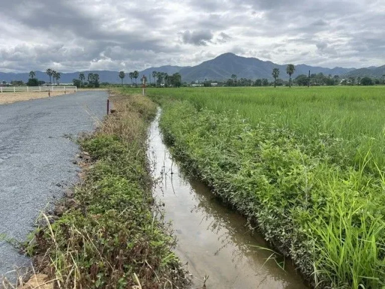 ที่ดินวิวดอย360องศา ห่างจากถนนหลวงเพียง 350 เมตรเท่านั้น