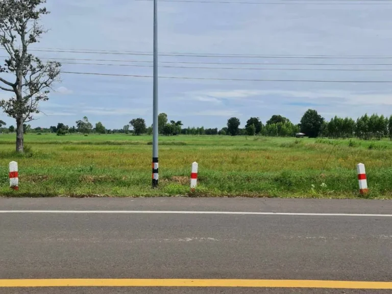 ขายถูกมาก ที่ดิน 3 ไร่ ติดถนนใหญ่ 4 เลน ทำเลดี อประโคนชัย