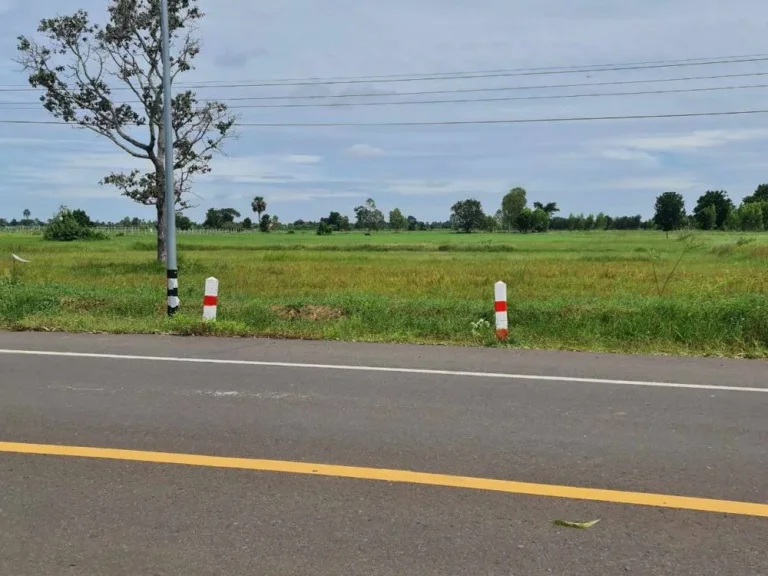 ขายถูกมาก ที่ดิน 3 ไร่ ติดถนนใหญ่ 4 เลน ทำเลดี อประโคนชัย