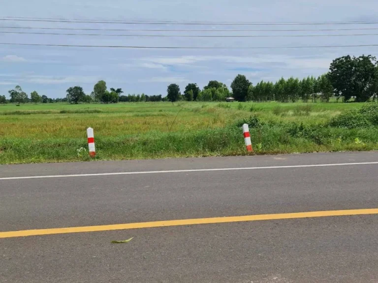 ขายถูกมาก ที่ดิน 3 ไร่ ติดถนนใหญ่ 4 เลน ทำเลดี อประโคนชัย