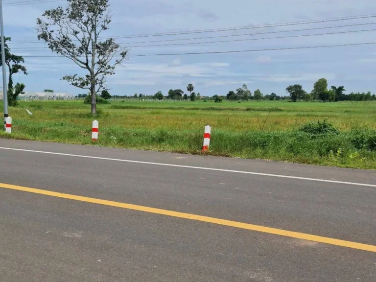 ขายถูกมาก ที่ดิน 3 ไร่ ติดถนนใหญ่ 4 เลน ทำเลดี อประโคนชัย