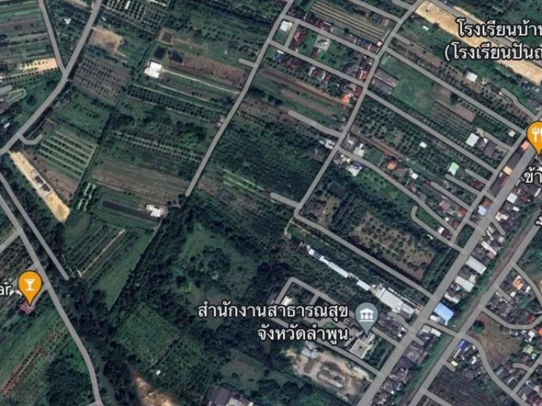 ขายที่ดินสวนลำไย น้ำไฟเข้าถึง ต้นลำไย พร้อมผลผลิต พิกัด