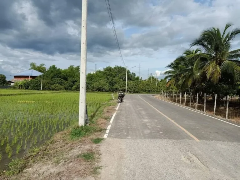 ขายที่นาติดถนนลาดยางวิวท้องนาติดลำห้วยพร้อมโอน