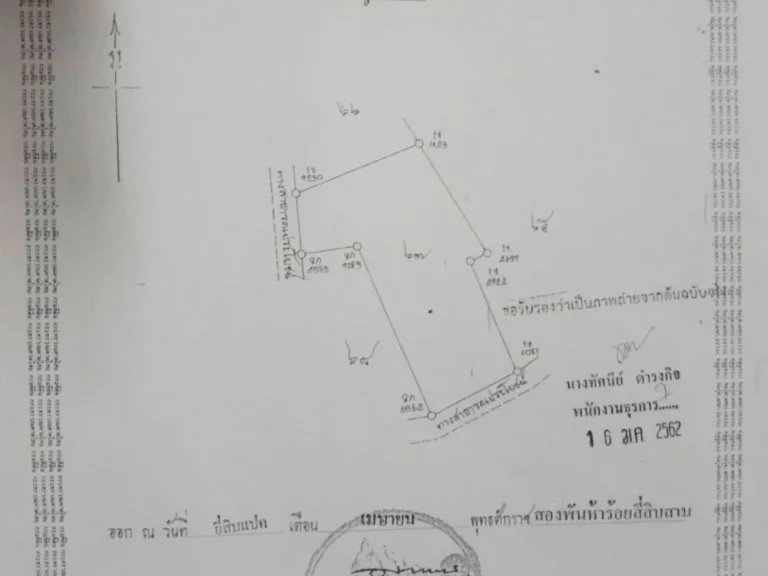 ขายที่ดินเปล่า 21 ไร่ ดินดี ราคาถูกมาก มีไม้ยืนต้น มีสระน้ำ