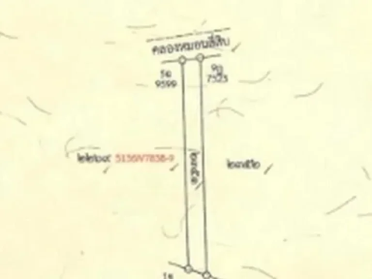 ขาย อาคารพาณิชย์ 2 ชั้น ทำเลใจกลางถนนข้าวสาร