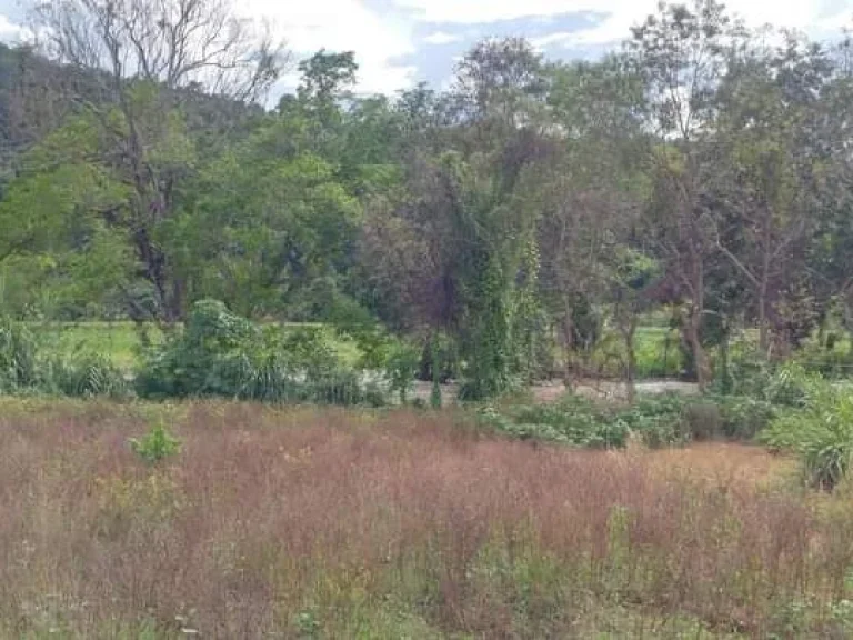 ขายที่ดินตำบลแม่นะเชียงดาววิวสวยติดแม่น้ำปิงยาว 130 เมตร