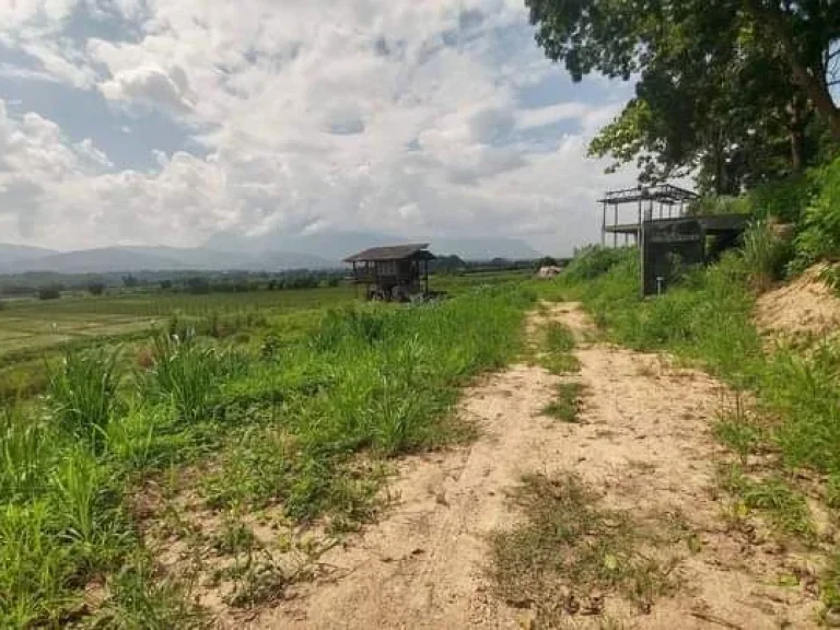 ขายที่ดินบ้านสบอ้อแม่นะเชียงดาวติดลำเหมืองพร้อมโอน