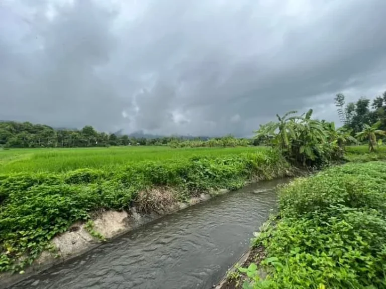 ขายที่ดินติดลำธารน้ำภูเขาล้อมรอบแม่ออนออนกลางพร้อมโอน