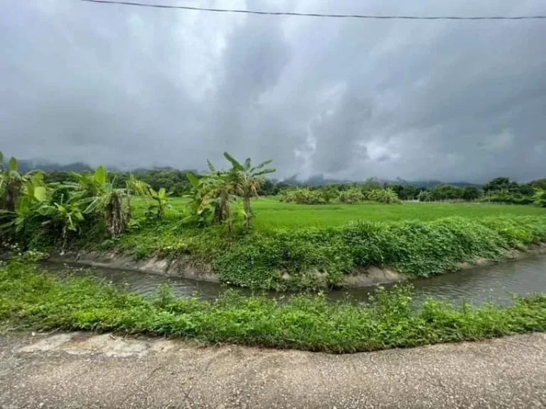 ขายที่ดินติดลำธารน้ำภูเขาล้อมรอบแม่ออนออนกลางพร้อมโอน