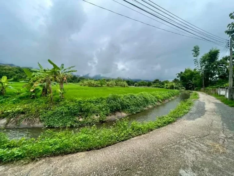 ขายที่ดินติดลำธารน้ำภูเขาล้อมรอบแม่ออนออนกลางพร้อมโอน