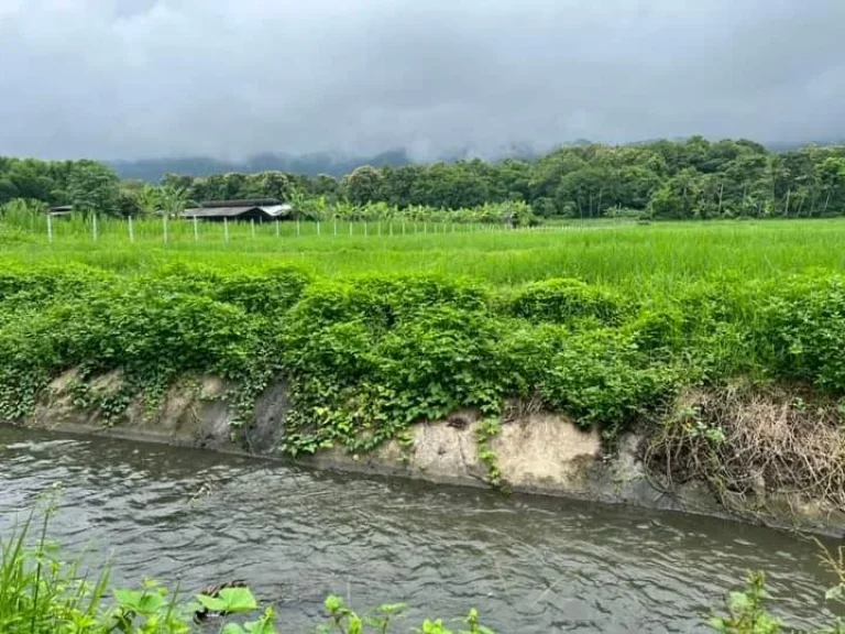 ขายที่ดินติดลำธารน้ำภูเขาล้อมรอบแม่ออนออนกลางพร้อมโอน