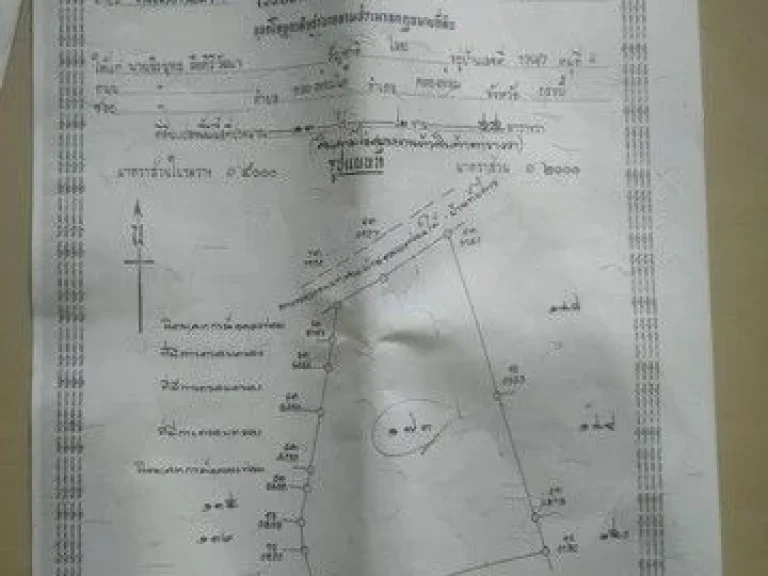 ขายที่ดินพร้อมสวนปาล์ม และสวนยางรวม 38 ไร่ อำเภอคลองท่อม