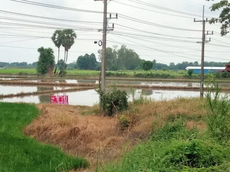 ขายที่ดิน แปลงใหญ่ติดทางหลวงสายเอเชีย นครสวรรค์-พิษณุโลก