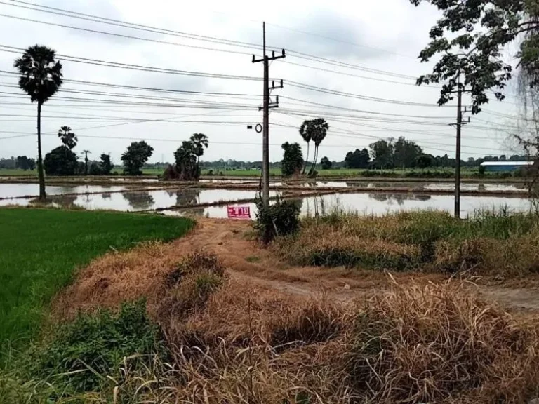 ขายที่ดิน แปลงใหญ่ติดทางหลวงสายเอเชีย นครสวรรค์-พิษณุโลก