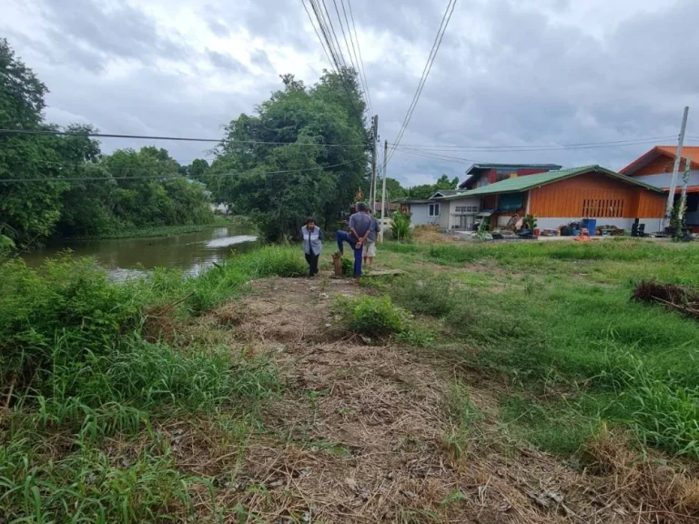 ขายที่ดินเปล่า 228 ตรว หลังติดคลองใหญ่ บรรยากาศดี น้ำ ไฟ