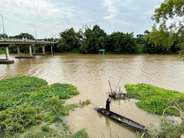 ขายที่สวนลำใยหน้าติดแม่น้ำหลังวิวดอยจอมทองโฉนดพร้อมโอน