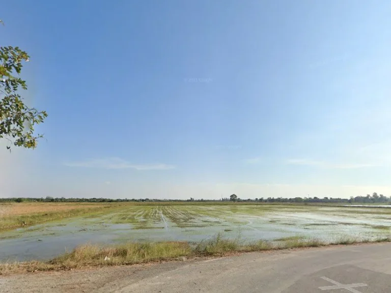 ขายที่ดินหนองบัว 4 ไร่ ติดถนนลาดยาง ใกล้ถนนเส้นศุขประยูร 315