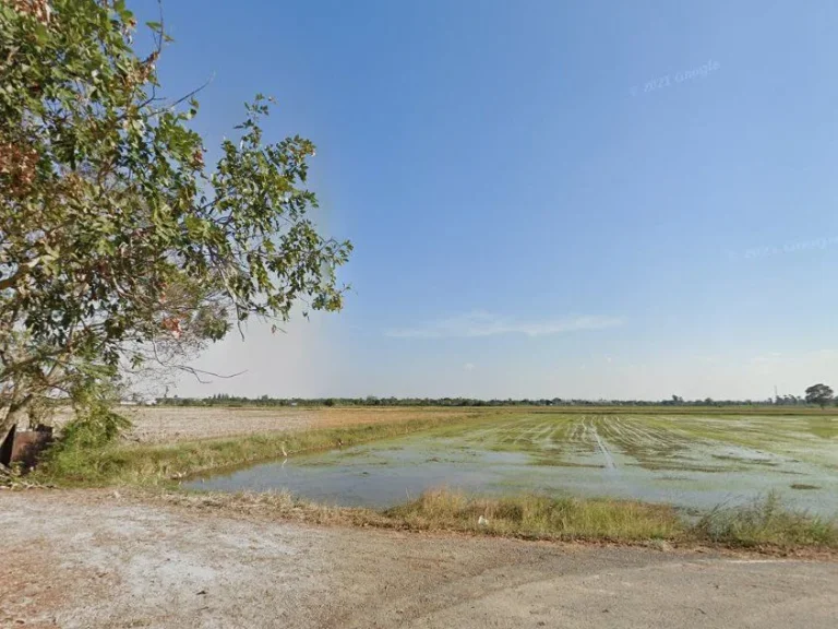 ขายที่ดินหนองบัว 4 ไร่ ติดถนนลาดยาง ใกล้ถนนเส้นศุขประยูร 315