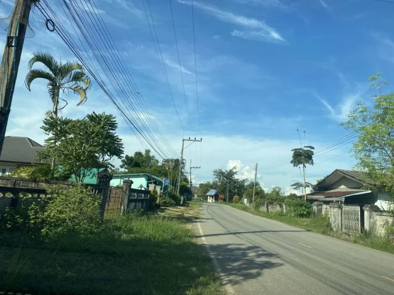 ขายที่ดินทำเลสวย วิวดอยนางนอน ถ้ำหลวง ตแม่ไร่ อแม่จัน