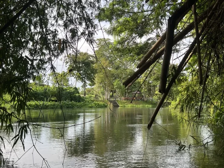 ที่ดินติดแม่น้ำเพชรบุรี ติดถนนคอนกรีต อยู่ในแหล่งความเจริญ