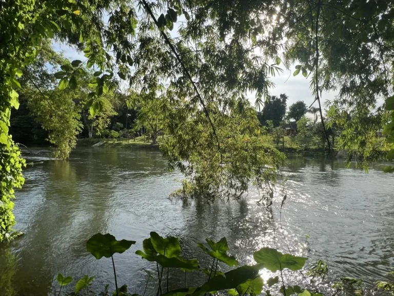 ที่ดินติดแม่น้ำเพชรบุรี ติดถนนคอนกรีต อยู่ในแหล่งความเจริญ