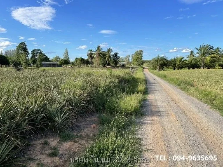 ขายที่ดิน แปลงสวย พื้นที่สีเขียว ติดภูเขา บ้านยุบพริก