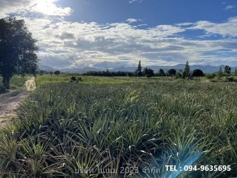 ขายที่ดิน แปลงสวย พื้นที่สีเขียว ติดภูเขา บ้านยุบพริก