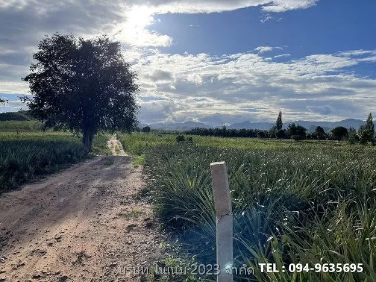 ขายที่ดิน แปลงสวย พื้นที่สีเขียว ติดภูเขา บ้านยุบพริก