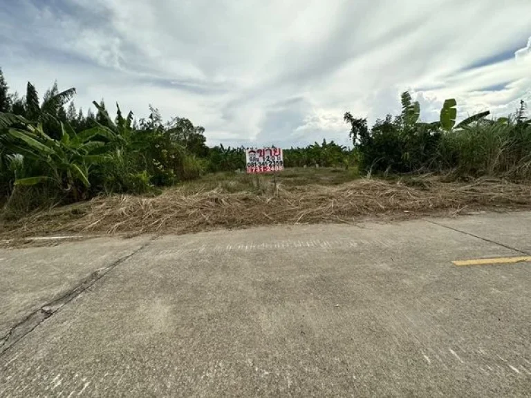 ขายที่ดินชะอำ เพชรบุรี ตไร่ใหม่พัฒนา ถโยธาธิการ