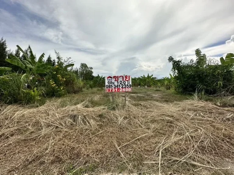 ขายที่ดินชะอำ เพชรบุรี ตไร่ใหม่พัฒนา ถโยธาธิการ