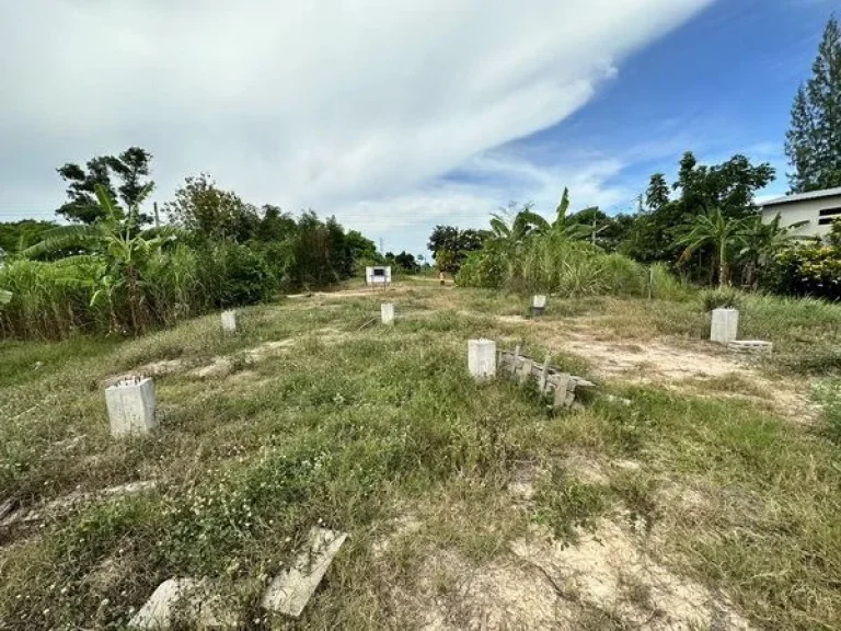 ขายที่ดินชะอำ เพชรบุรี ตไร่ใหม่พัฒนา ถโยธาธิการ