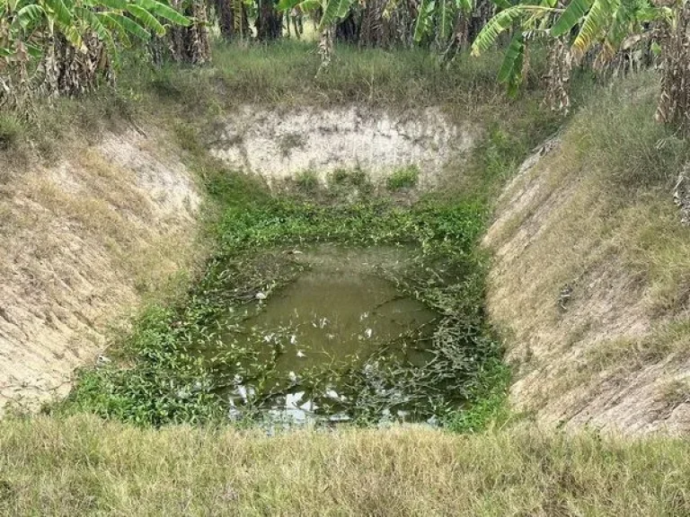 ขายที่ดินชะอำ เพชรบุรี ตไร่ใหม่พัฒนา ถโยธาธิการ