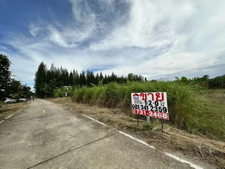 ขายที่ดินชะอำ เพชรบุรี ตไร่ใหม่พัฒนา ถโยธาธิการ