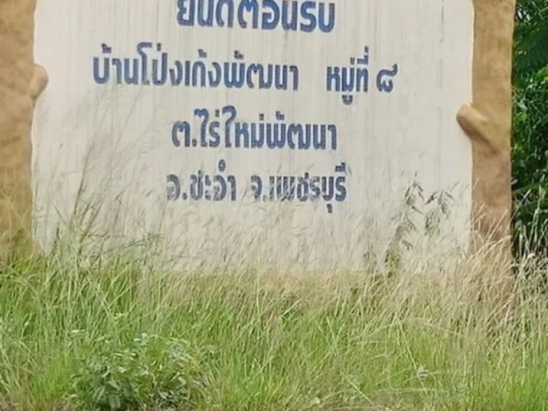 ขายที่ดินชะอำ เพชรบุรี ตไร่ใหม่พัฒนา ถโยธาธิการ