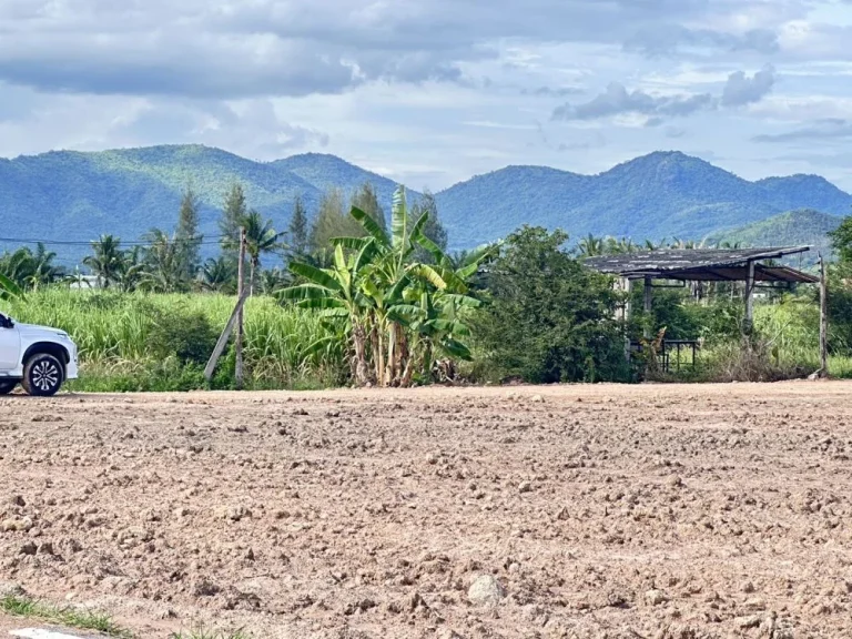 ขายที่ดินหนองขุ่น วิวเขา ติดถนนลาดยาง 200 ตรว ชะอำ เพชรบุรี