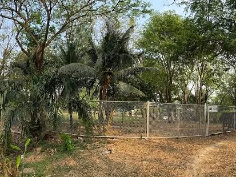 ที่ดินริมน้ำสาย3 ที่ดินพุทธมณฑลสาย3 ใกล้ถนนตัดใหม่พรานนก