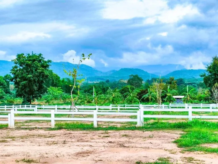 ขายที่ดิน 1 ไร่ โครงการใหญ่ หนองหญ้าปล้อง เพชรบุรี