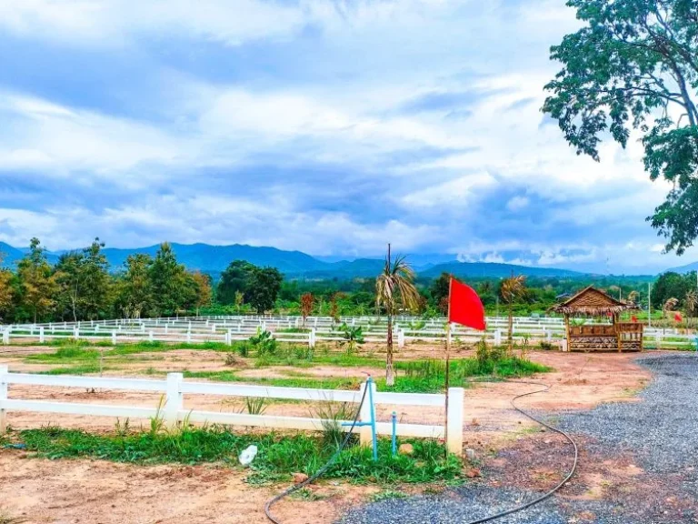 ขายที่ดิน 1 ไร่ โครงการใหญ่ หนองหญ้าปล้อง เพชรบุรี