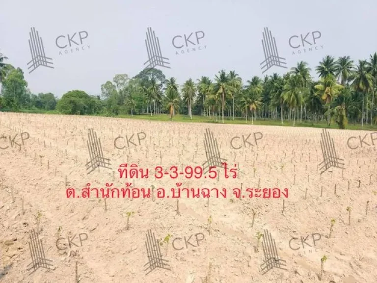 ขาย ที่ดินเปล่า ขนาด 3 ไร่ 3995 ตรวา ที่ดินสวย