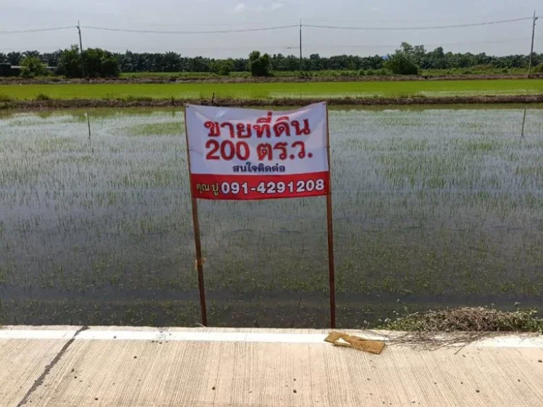 ขายที่ดิน 200 ตรว ทำเลดี คลองสาม เหมาะในการทำบ้านพักอยู่อา