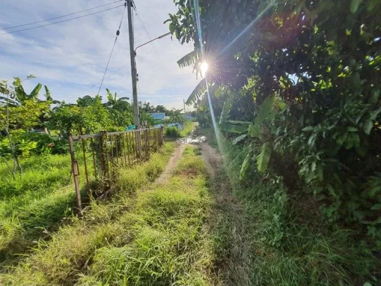 ขายที่ดินพร้อมบ้านสวน 1 ไร่ เจ้าของขายเอง ตำบลห้วยขวาง