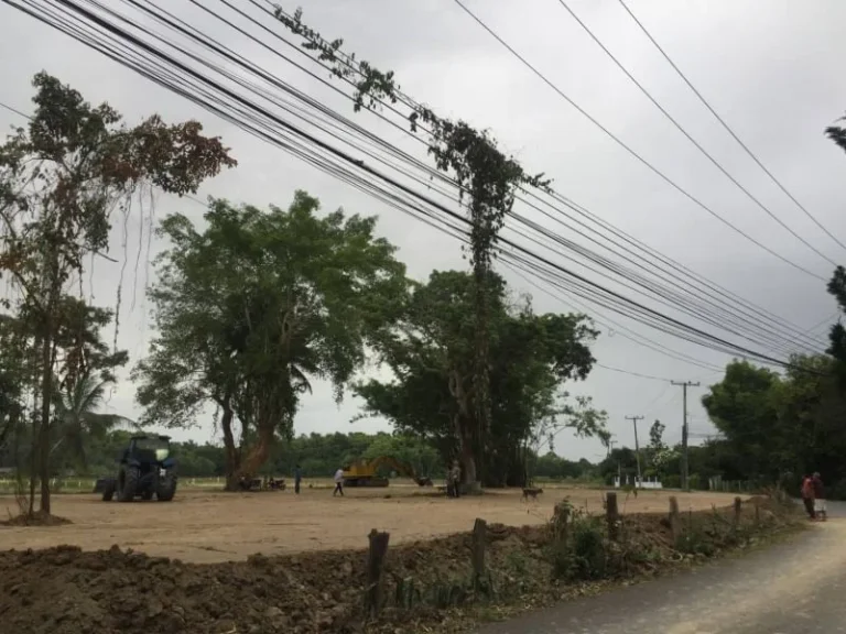 ที่ดินถมแล้วพร้อมปลูกบ้านติดถนนดำ หลังโรงเรียนเปรม