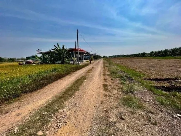 ที่ดิน คลอง8 หนองเสือ ซอยภุชงค์ ปทุมธานี ผ่อนได้ 1 ปี