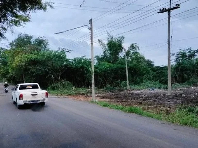 ที่ดินใกล้จุดเช็คอินคลอง11 หนองเสือ ปทุมธานี 2ไร่ฟรี 5 ตรว