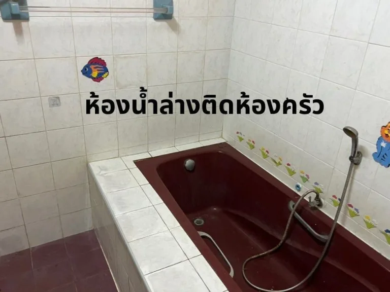 ขายบ้านเดี่ยวมือสอง ในหมู่บ้านไทยสมุทร จสุราษฎร์ธานี